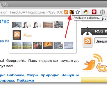 Как удобно смотреть фотогалереи в браузере